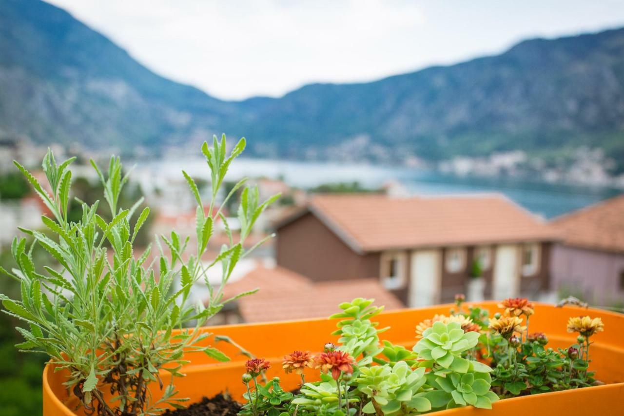 St Duke Apartment Kotor Exterior foto